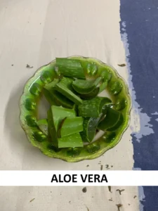 Aloe-vera