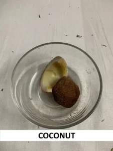 Coconut
