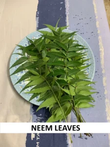 Neem